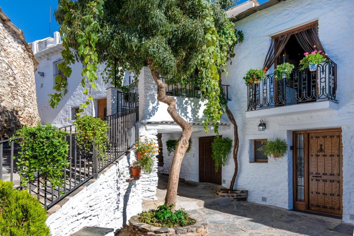Casa Antonia Capileira La Alpujarra Apartment ภายนอก รูปภาพ